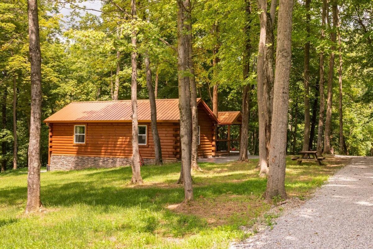 Secluded Wooded Cabin Near The Hocking Hills New Straitsville ภายนอก รูปภาพ